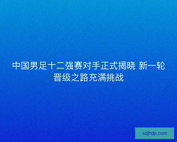 中国男足十二强赛对手正式揭晓 新一轮晋级之路充满挑战 中国男足十二强赛对手正式揭晓 新一轮晋级之路充满挑战